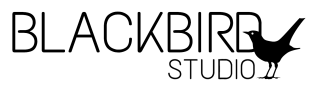 Blackbird Studio